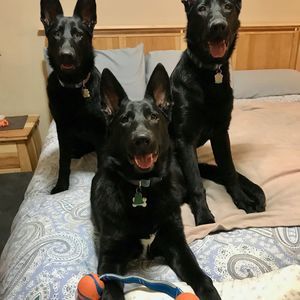 Meet your Posher, Kimberli